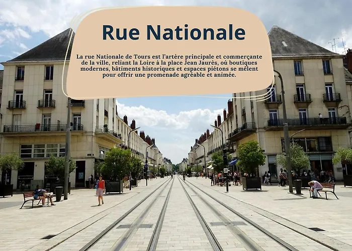 Le - 800 M Gare - Hyper Centre - Wifi- Climatise 公寓 图尔