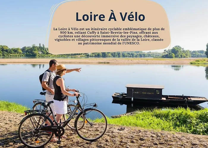 公寓 Le - 800 M Gare - Hyper Centre - Wifi- Climatise 图尔